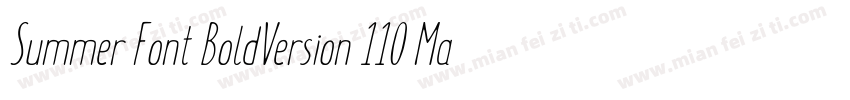 Summer Font BoldVersion 110 May 28字体转换